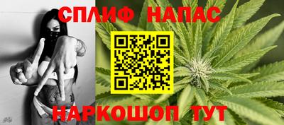МДПВ Пенза