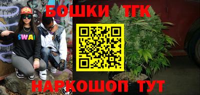 МДПВ Пенза