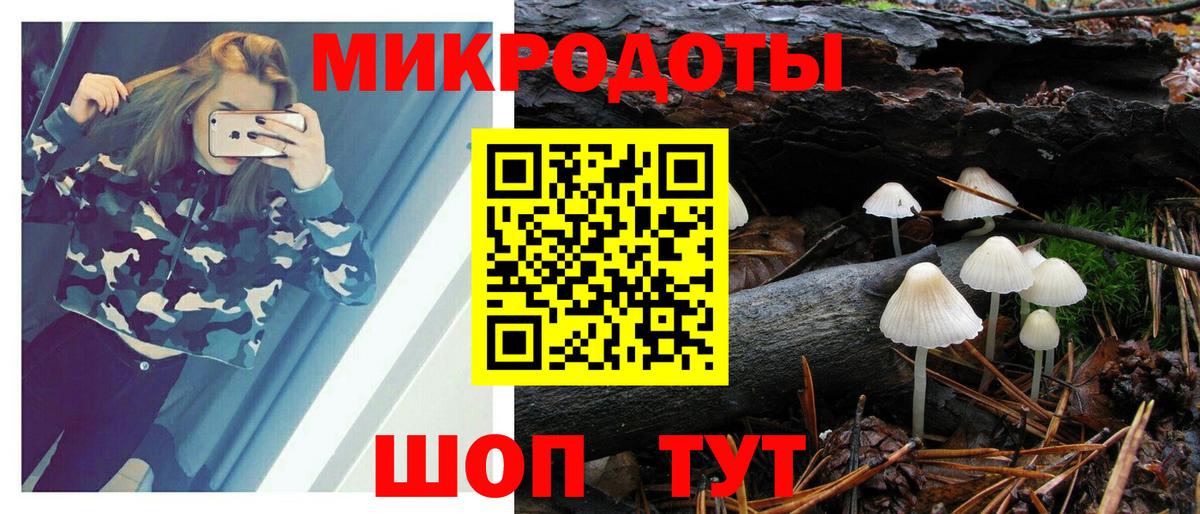 Саранск  цена наркотик  Вход с VPN  Галлюциногенные грибы Psilocybe  Галлюциногенные грибы Cubensis 